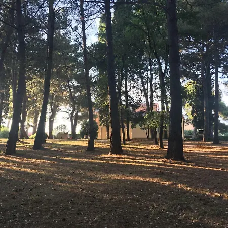 Pribetic Apartment Porec