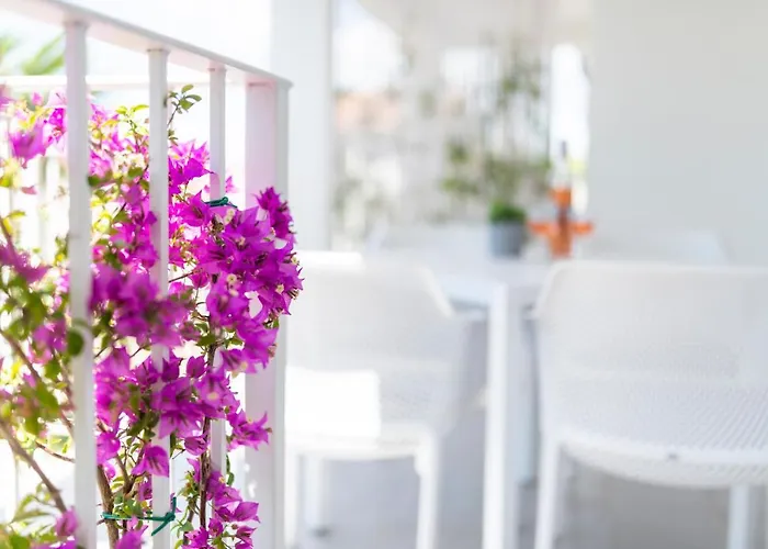 Daire Pribetic Poreč