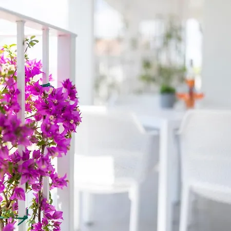 Apartment Pribetic Porec