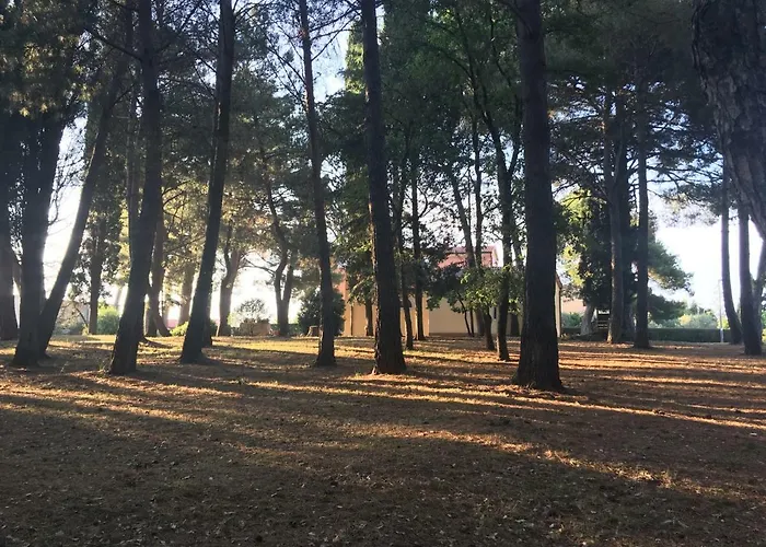 Pribetic Apartmán Poreč